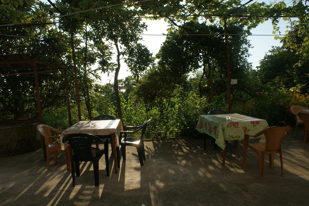 Merabi And Neli Guest House Makhinjauri Rom bilde